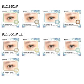 Blincon Blossom II | Colour Cosmetic Lenses (3 months)