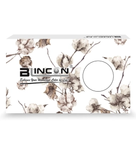 Blincon BB - Monthly Col..